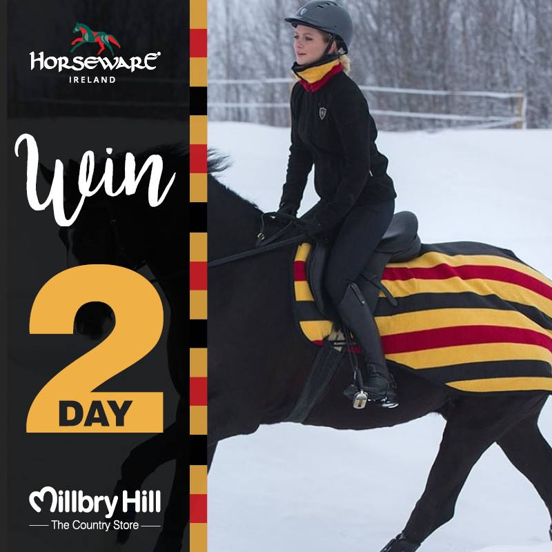 MillbryHill's tweet photo. 🌟 DAY 2 Competition 🌟 
*WIN* a Rambo Newmarket Competition Sheet!
Follow the link below 🤩
https://t.co/4AYmeyeRI7
#Competition #MillbryHill #Horseware #Rambo #Newmarket https://t.co/fe6zhE7Ytc