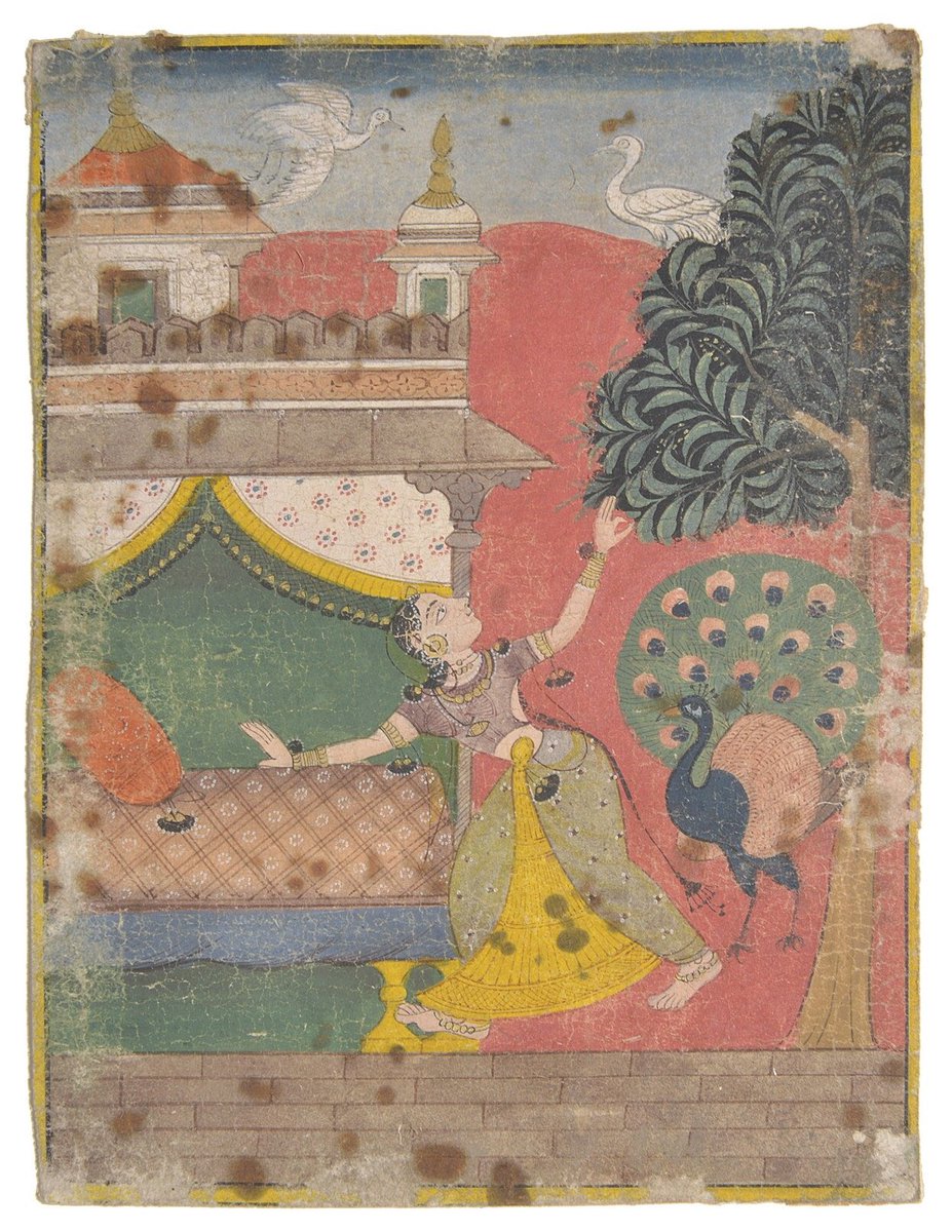 OlympiaAuctions's tweet photo. A lady reaches for the branch of a tree, gouache with gold on paper, from a ragamala series. From Malwa, central India, late 17th century. Detail.
#ragamala #peacock #lot164 #matthewbarton #auction #tomorrow #startsat11 https://t.co/5ISN2NrYFk