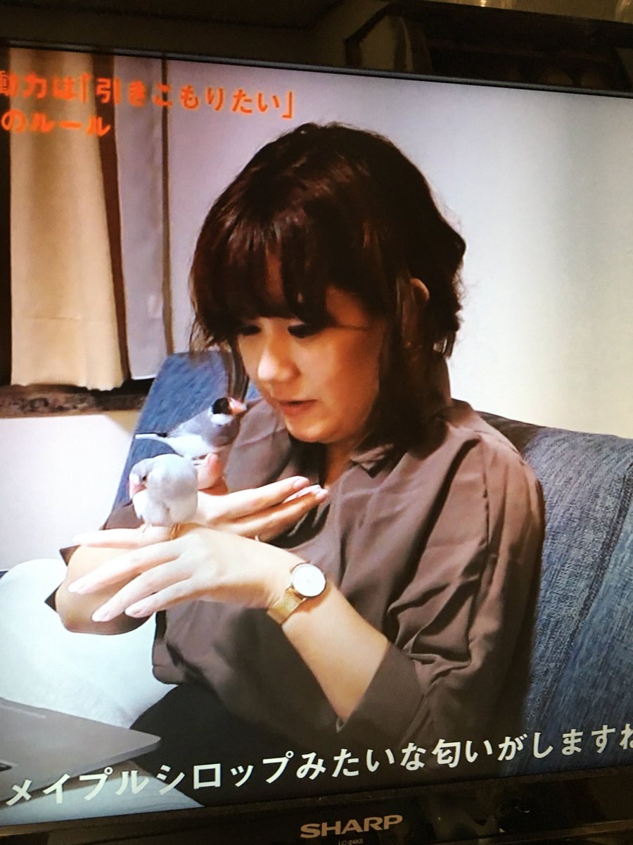 きーこ on X: 工学科学者 玉城絵美さんの7ルールに文鳥の匂いを嗅ぐw t.co6y3jn4mQ1u  X