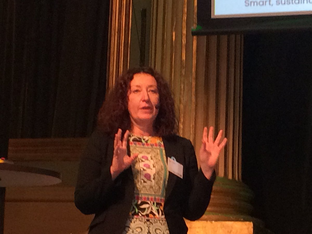 För att hantera den snabba teknikutvecklingen behövs både ny politik och nya forskningsperspektiv menar <a href="/OlgaKardas/">Olga Kardas</a> från #ViableCity på #ICT4S <a href="/FormasForsk/">Formas, ett forskningsråd för hållbar utveckling.</a>