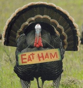 The plight of the turkey. Since ham is the national vegetable of #Alsace, we've got a wine for that, too. #drinkAlsace #Thanksgiving