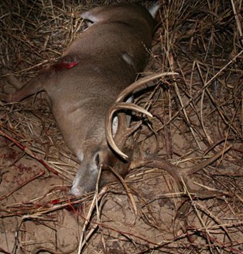 bullgatorcamo's tweet photo. Nice buck taken last night! #bullgator #bullgatorcamo #bullgatoroutfitters #bull #gator #faith #family #freedom #thegreatoutdoors #hunt #hunting #deer #deerhunting #buckfever #bigbuck #camping #tent #camp #guns #ammo #outdoors #guns #hiking #camo #camouflage #ncbuck #huntingnc https://t.co/NlBM2bGWV6