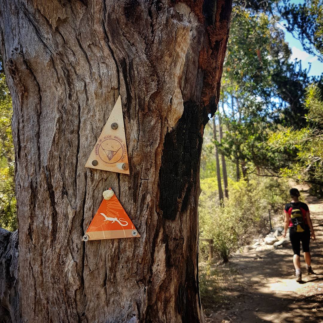 It was a beautiful day to #hike  the Ellis Brook Valley today! What a gorgeous walk with breathtaking views 🍃🌞