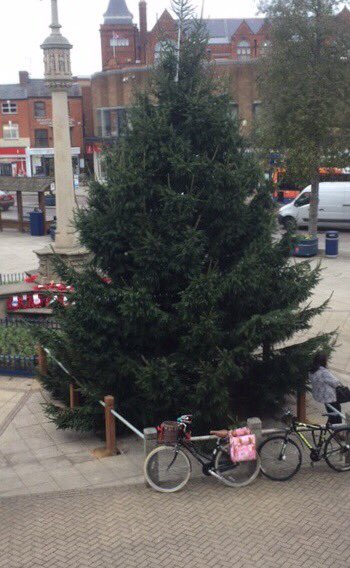 MarketHarbBS's tweet image. We are delighted to provide the town’s Christmas tree - it looks very festive out on the Square.