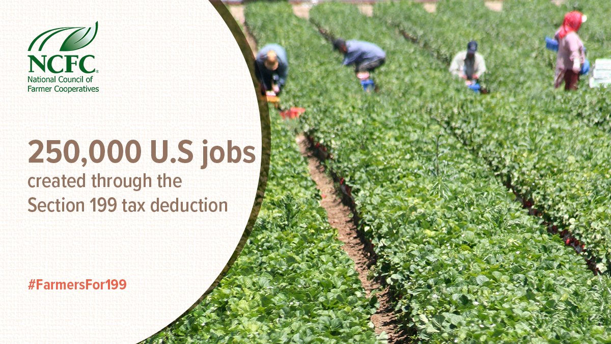 FarmerCoop's tweet photo. #Section199 tax deductions benefit the economy through job creation to the tune of 250,000 U.S jobs. Tell Congress not to raise taxes on farmers: https://t.co/7Mwh5jsmiC #FarmersFor199 https://t.co/KfiaxUzfQS
