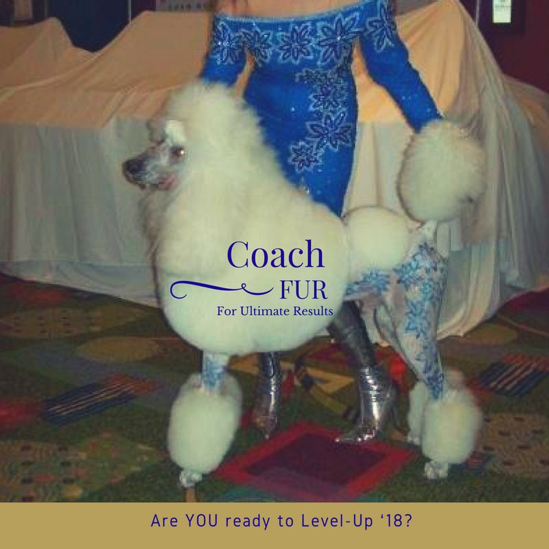 coach_fur's tweet photo. The blue dress is on...
Are YOU ready to level-Up ‘18?
This is going to be the #best 💯💪🏻🙏🏽🎉🎯🎯🎯 #Grooming #petsofinstagram #learntogroom #howto #winningways #zerotohero #yesyoucan #women #careers #coach #golive #coachfur #fun #laughoutloud #livelikeyourhairisonfire https://t.co/tWzqt5yOex