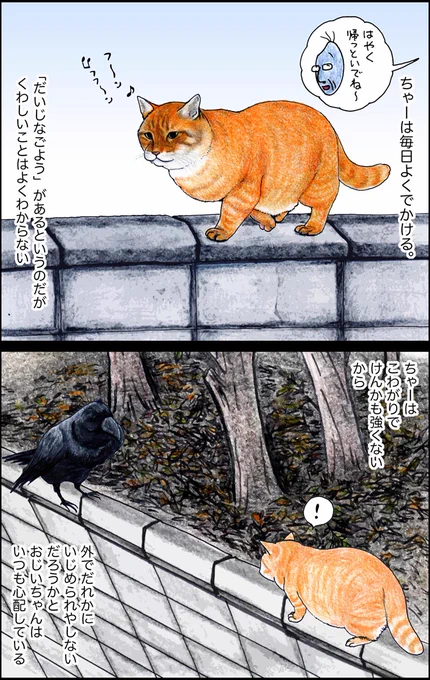 や、どうも。そういえばちゃーはケガってほとんどしたことないや。 