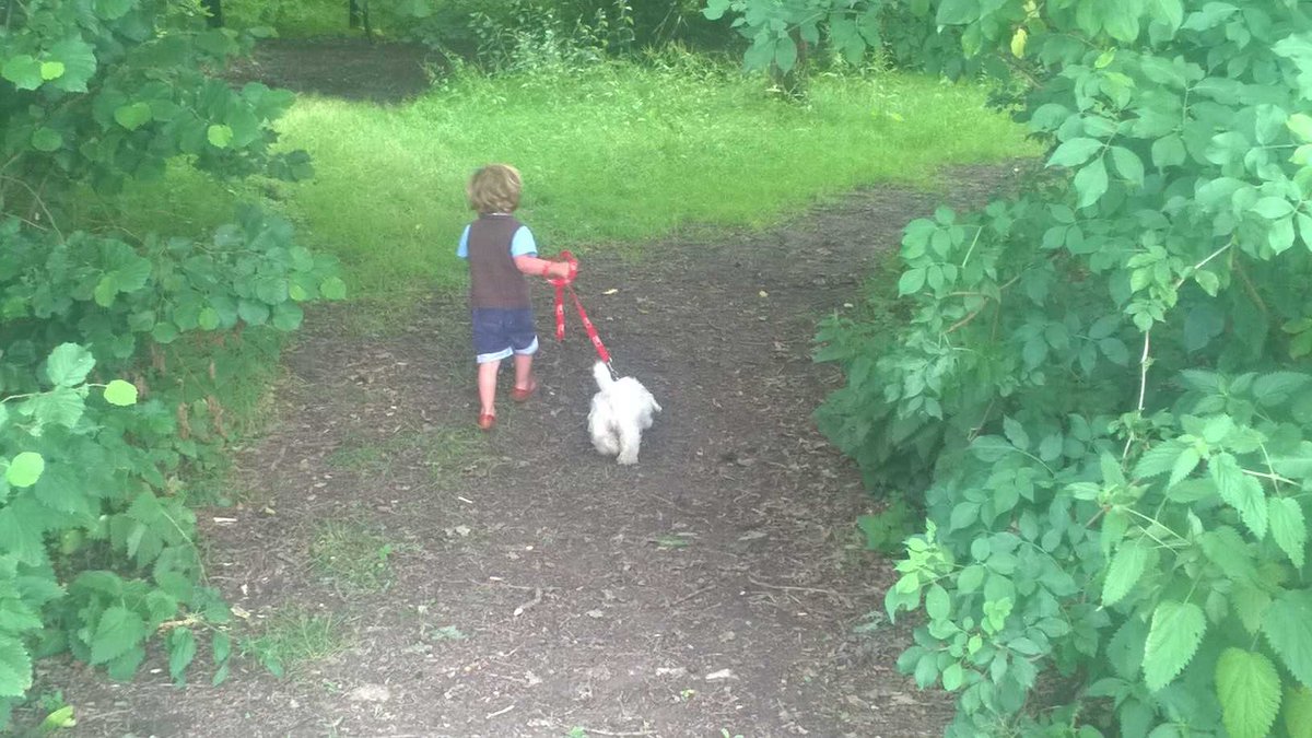 struttandparker's tweet photo. Send us your cute dog pictures using the Strutt &amp; Parker dog lead! Check out @privpropsearch Rupert's sealyham terrier https://t.co/654A2Ctu6p