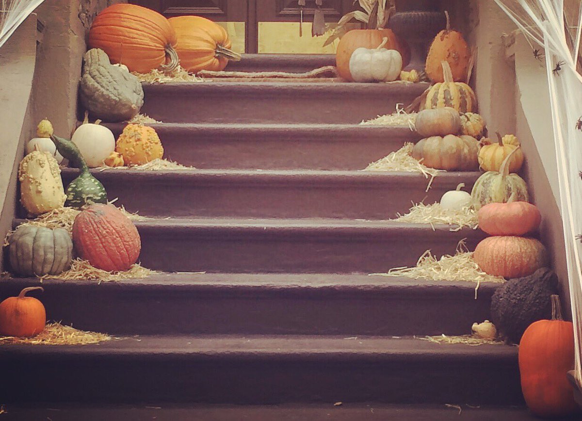 ClassesOnClark's tweet photo. Say “pah” to pumpkin and come join us for our Pickin Flat &amp; Fingerstyle class at 12 today. Pick up some tasty licks as we pluck our way through our favorite songs. Your folks back home are gonna want second helpings, so get ready to impress! $20 drop-ins. Details in bio. https://t.co/G8GVBGYE8Q