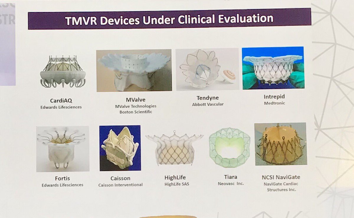 LPernasett's tweet photo. Reemplazo mitral por catéter 
TMVR by Dr. Rodes-Cabau #CSC2017 @shci_sec https://t.co/djKEcFI1zg