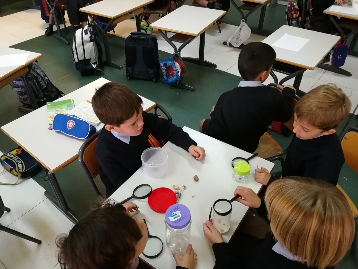 Miralventschool's tweet photo. #AprendizajeExperiencial ¡Nuestros investigadores de 1º Primaria aprenden #Science sobre el terreno! Clasificar los distintos animales es más sencillo y ameno cuando lo experimentan. #EducarMola #EnglishProyect Más detalles en nuestra Web 👉https://t.co/TcSCwcpUDM https://t.co/rXsvzmuA5i