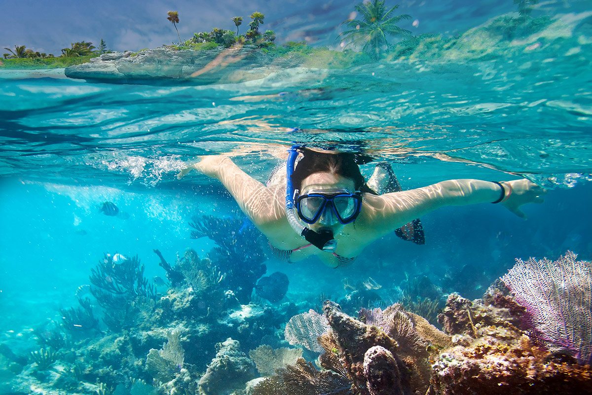 Snorkel in the second biggest coral reef barrier in the world!
Come and book your airport transfers and private tours with us.
#TheBestWayToGo #CoralReefDiving #AirportTransfers #Cancun #RivieraMaya

cancunairporttransportations.com/cancun-tours/c…