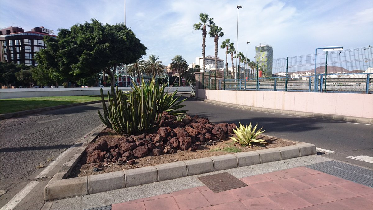 Love the traffic island planting in Las Palmas, Gran Canaria. Essentially cactus + lumps of pumice. Simple and stylish!