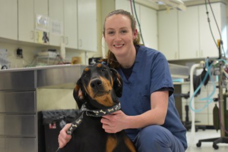 Carestream's tweet photo. Read this heartwarming blog by  @LollypopFarm   about the care they provided to a lovable young Doberman! #sheltermedicine https://t.co/TAQPx7ZmQc https://t.co/4jREYpGHmC