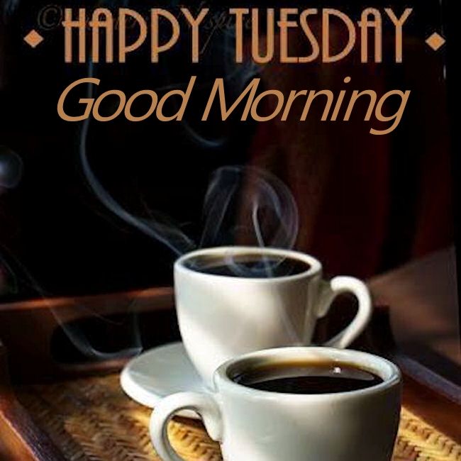 jggeorgetownmtg's tweet photo. Goooooood morning, everyone! https://t.co/LMaokbXOrD