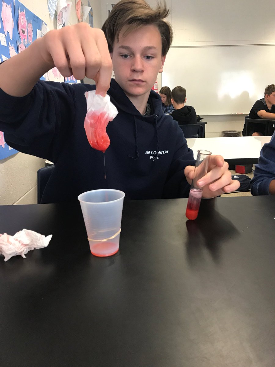 mustangnation01's tweet photo. Strawberry DNA lab in Ms. Sunderland’s classes today! #mustangnation336
#authenticallyengaged https://t.co/e64bfwxpPJ