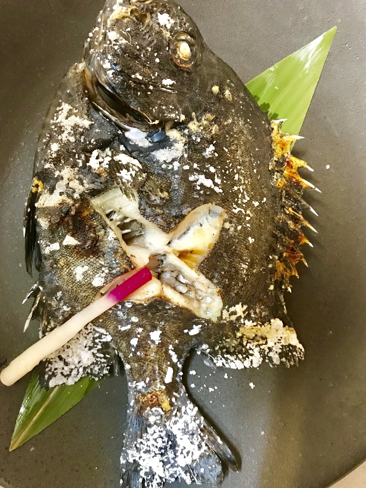 ショゴ太郎 今日のイシガキダイは塩焼きでいただいたよ めちゃうまな味 塩焼き イシガキダイ T Co Jdedb4ip00 Twitter