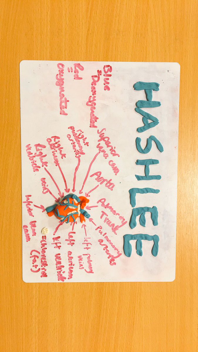 HashCranidgePT's tweet photo. In anatomy and physiology: Making hearts out of play-doh and labelling them also 👍🏼🥇♥️@Katebarker1983 https://t.co/GJwYcUNPnO