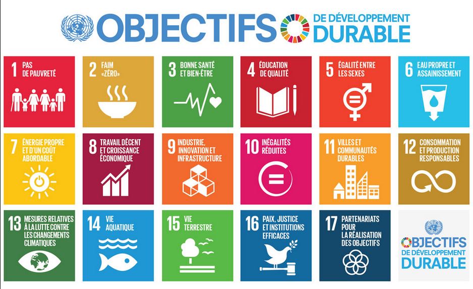 CCNUCC's tweet photo. Atteindre les objectifs du développement durable grâce à l’action climatique #ObjectifsDuDéveloppementDurable #ODD #GlobalGoals #SDGs 🌍 https://t.co/2JMMcpNlGg https://t.co/MY6gLk6cmG