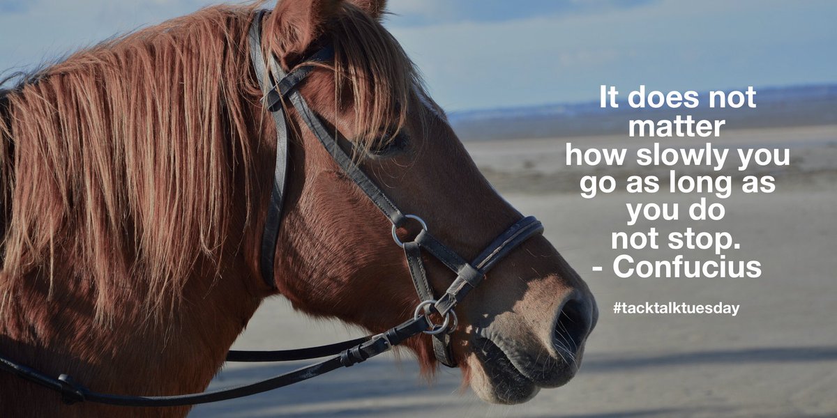 tacktalktuesday's tweet photo. Won’t be able to make #tacktalktuesday tonight, however I’ll catch in with you all when I can! Have a super week everyone 🐴 🐎 Please RT https://t.co/XAQhizHAaj