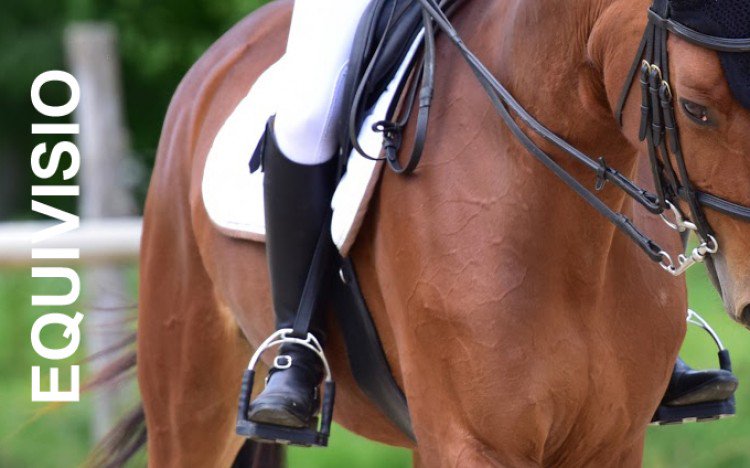 eCHEVALcom's tweet image. Equivisio : découvrez avec nous la solution qui digitalise le professeur d'équitation et qui supprime les frontières echeval.com/news/162-equiv… @EquiVisio #cheval