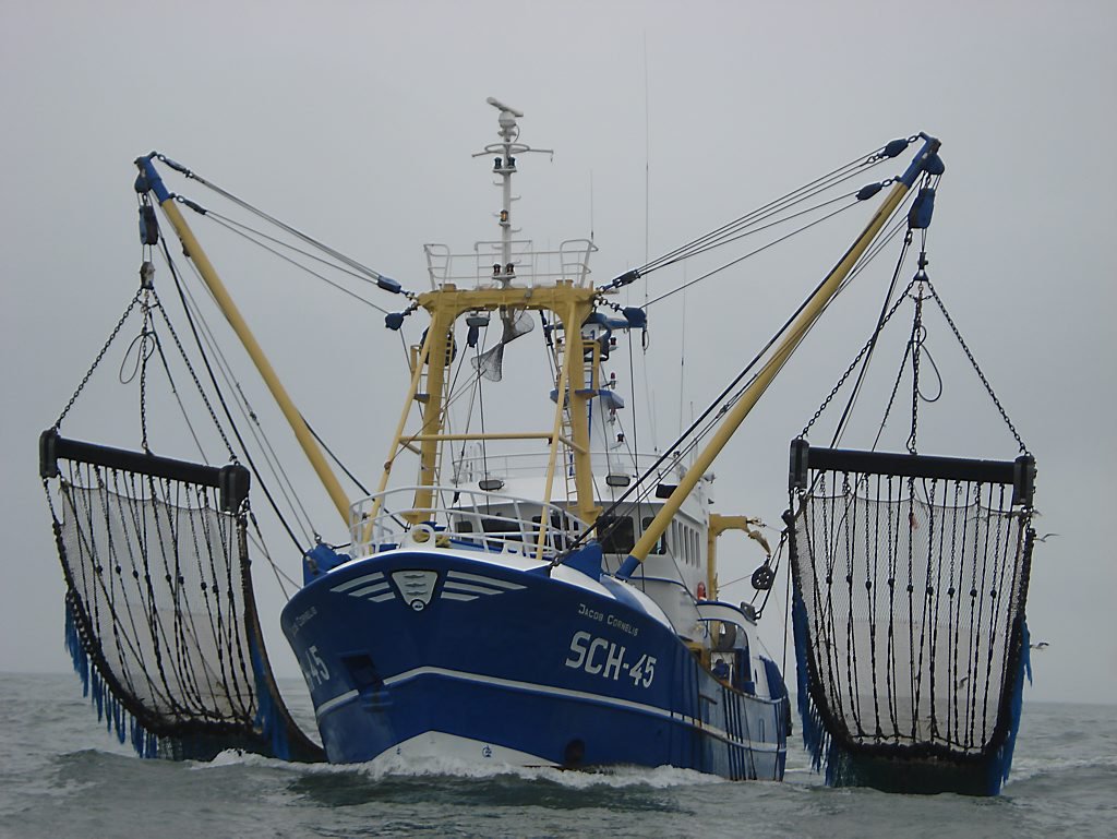 BrianLIFE_EU's tweet image. @EP_Fisheries Peche Cttee vote in favour of mis-named &quot;experiments&quot; with pulse gear. Now up to Plenary in Strasbourg to decide to accept or reject Peche Cttee Report, ahead of trialogue. It ain&apos;t over yet, but today&apos;s vote is a blow for #SSF and the #precautionaryapproach