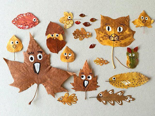 Bulevar_Verde's tweet photo. Más arte con hojas secas de #Otoño, nos encanta la creatividad de algunos. https://t.co/6iAE9GcTYi
