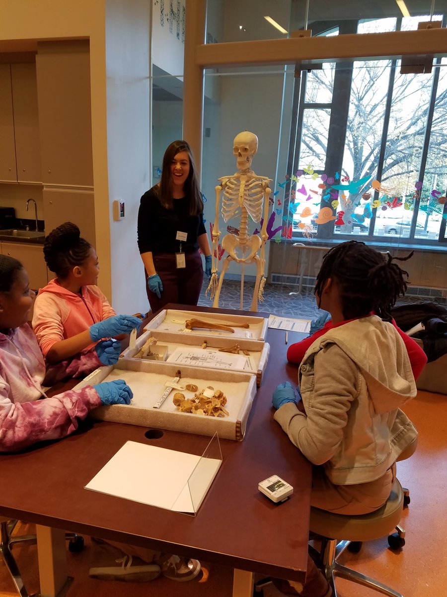 StuartHobsonSEM's tweet photo. Forensic anthroplogists in the making @SEMinDCPS  @MatthewMReif  @StuartHobsonMS https://t.co/QCkBiK9s6P