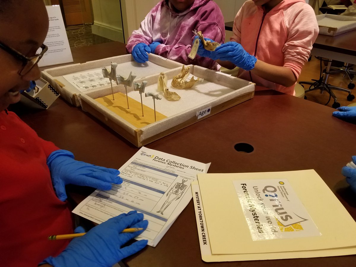 StuartHobsonSEM's tweet photo. Forensic anthroplogists in the making @SEMinDCPS  @MatthewMReif  @StuartHobsonMS https://t.co/QCkBiK9s6P
