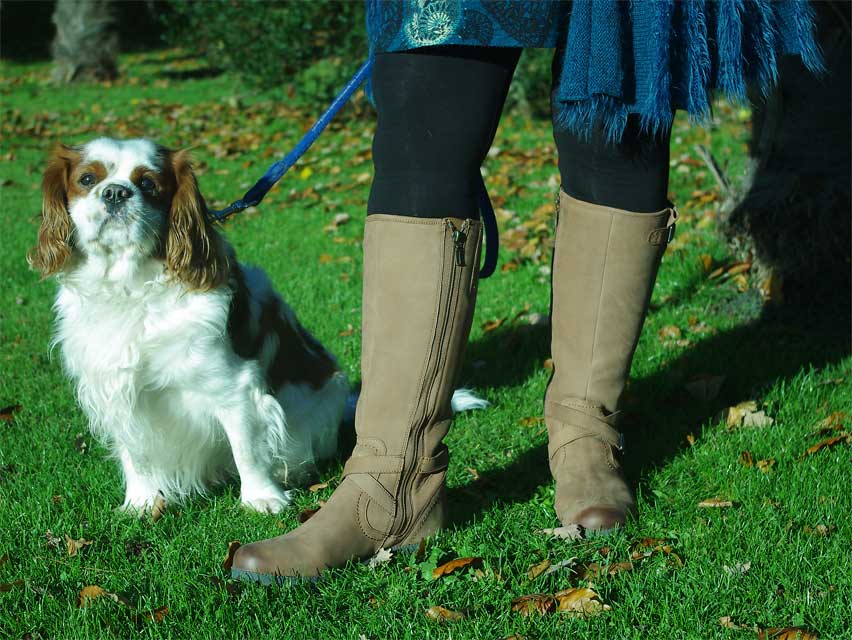 My review of these fab <a href="/hottershoes/">Hotter Shoes</a> Belle Boots. ow.ly/f27y30gIZ3W #hotterwalkies