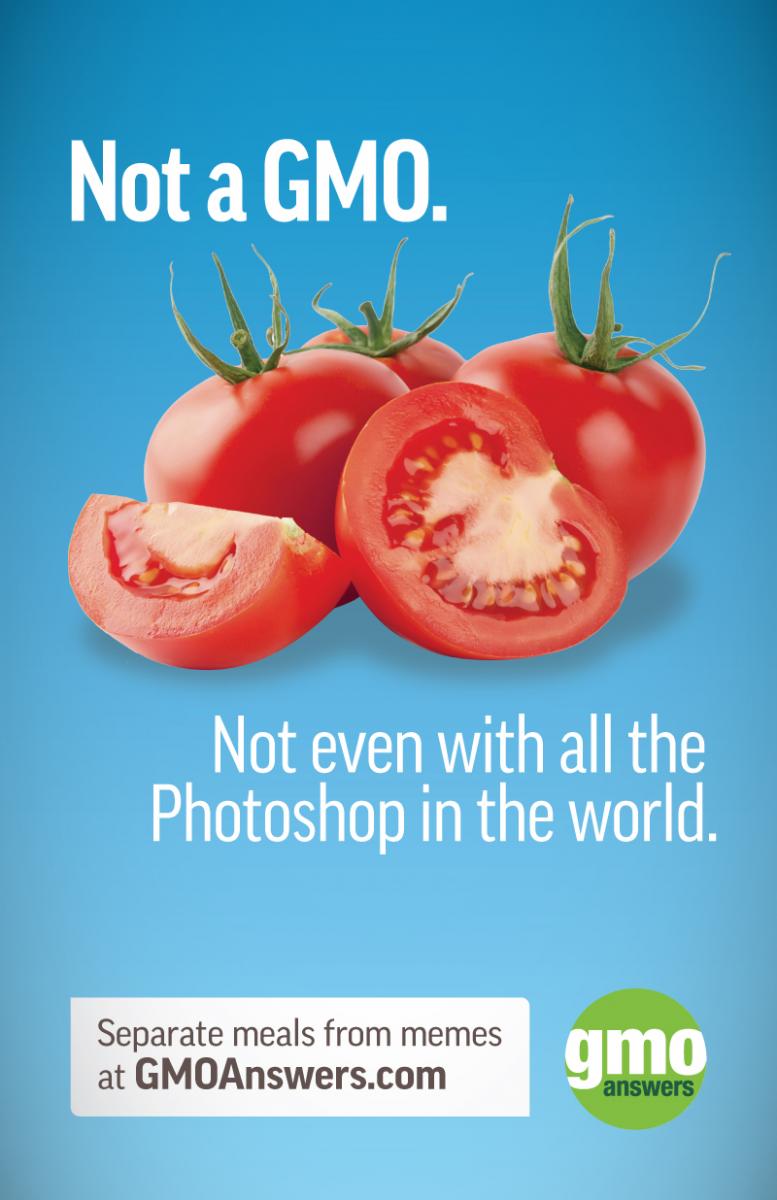 GMOAnswers's tweet photo. We see it all over the internet (&amp; no, it's not true). There are no GMO tomatoes 🍅 on the market - just these crops: https://t.co/n1AVl0Ijg4 https://t.co/LUE6WK9ybf