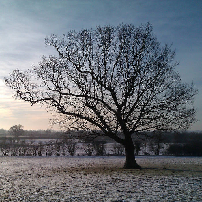 SwanSteps's tweet photo. Readying new sad songs for the FATOO Xmas show, Sunday 10 December, Arlington village hall. #folk #not #at #the #old #oak https://t.co/7gUxaEjcsj
