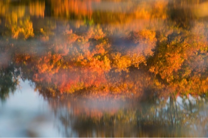 CaptureMN's tweet photo. The title of today's #photoftheday pretty much sums it up: "Dreaming of a More Colorful Time" by Troy Brantner. https://t.co/3YcLPIteap