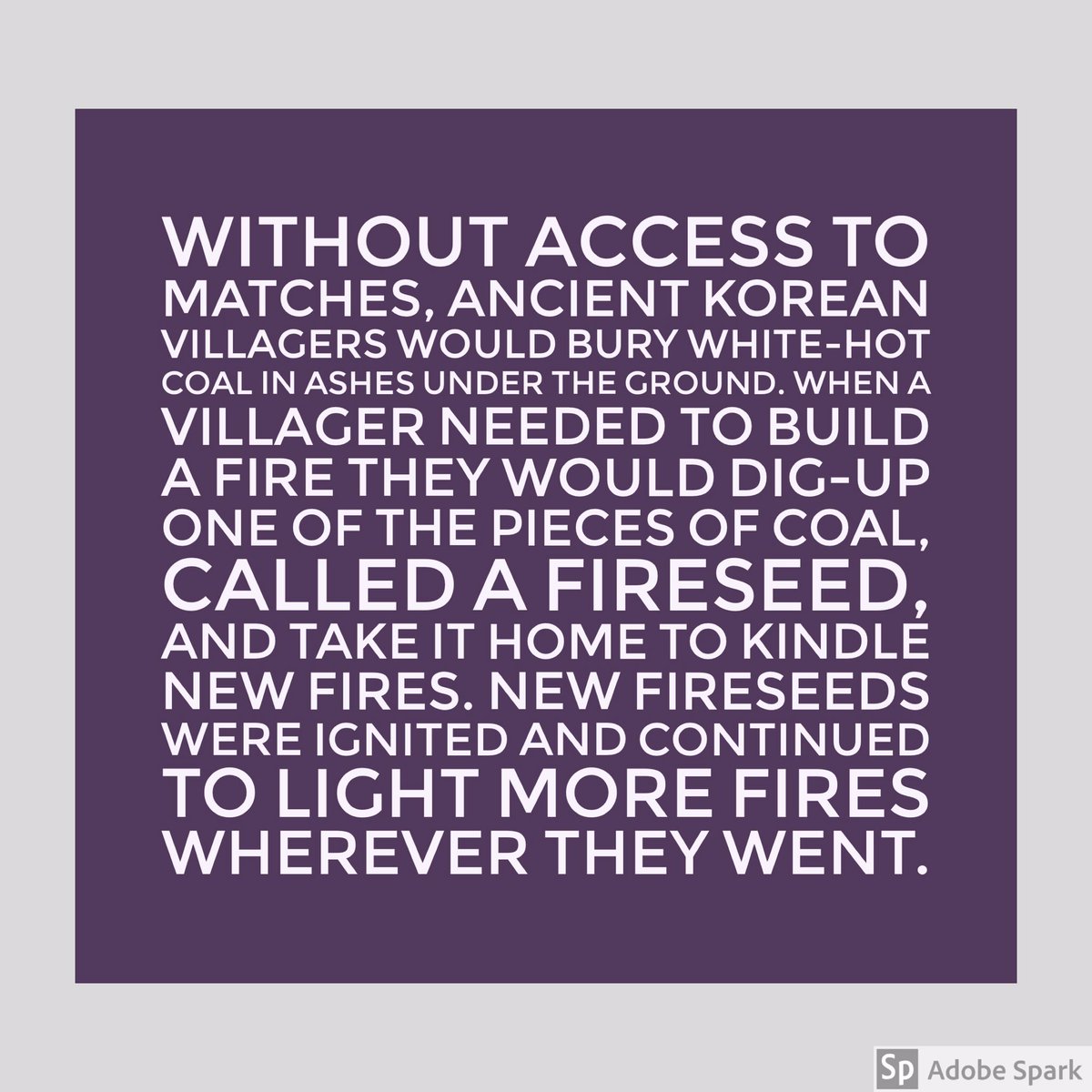 Fireseeds tweet media