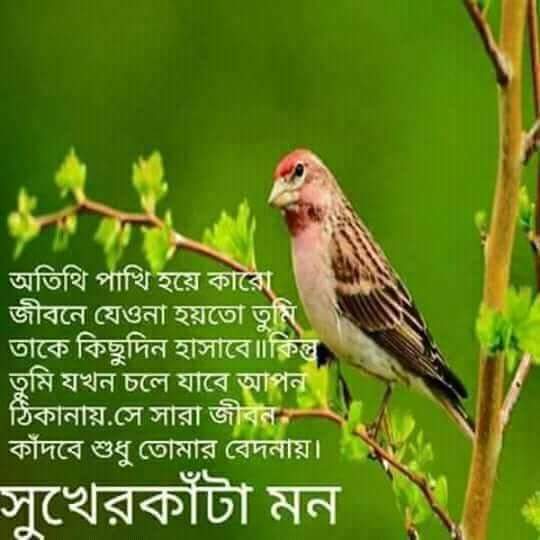 ShoruabM's tweet image. 