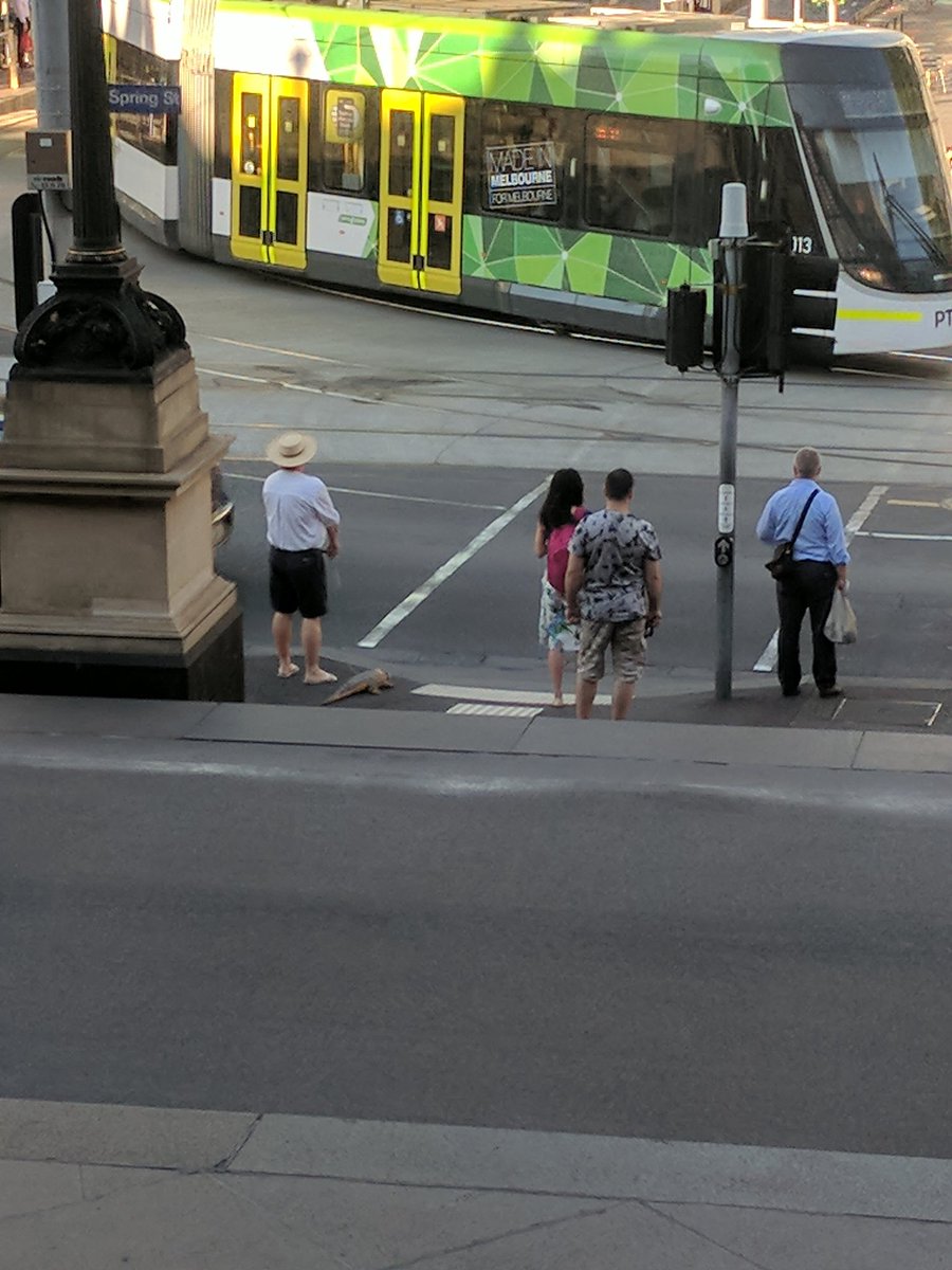 pamurrell's tweet photo. Is this guy taking his lizard for a walk in the city? ๐ฆ #Melbourne https://t.co/JIx3ey806j