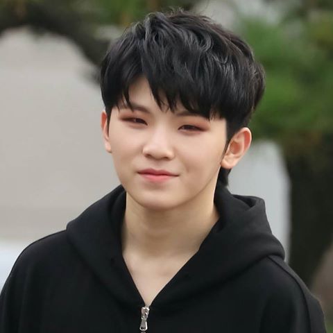 KpopQueen4ever's tweet photo. Happy Birthday woozi love you😙😍@pledis_17 #WOOZIDay https://t.co/NaShIwREDq