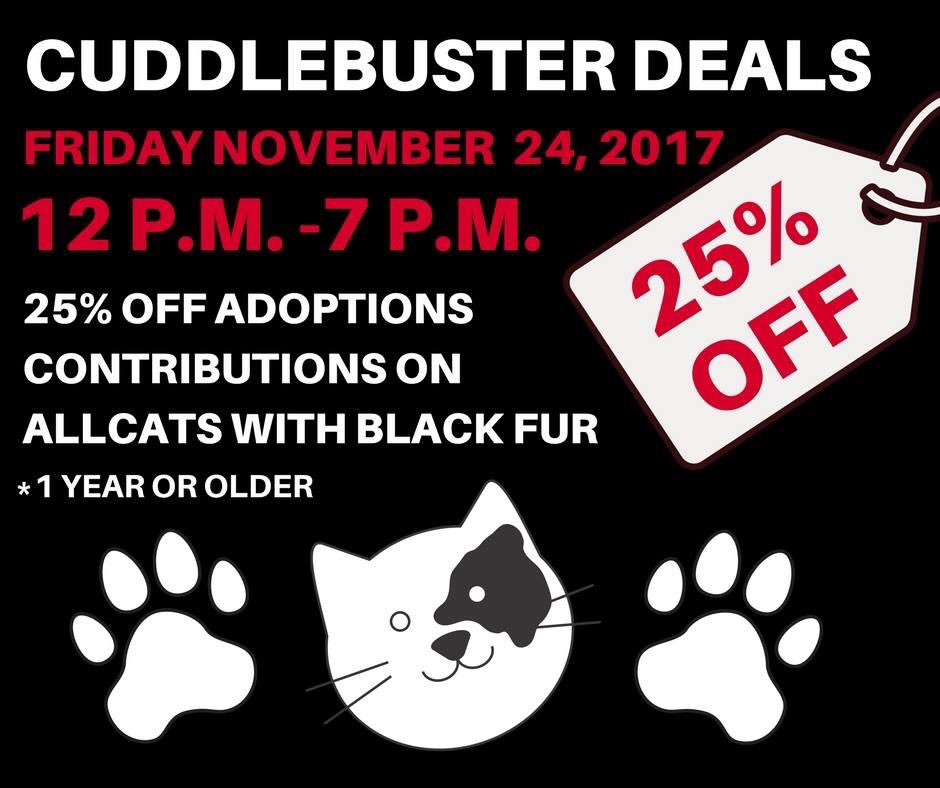CTCatConnection's tweet image. #BlackFriday has gone to the cats! #connecticut #CatsOfTwitter