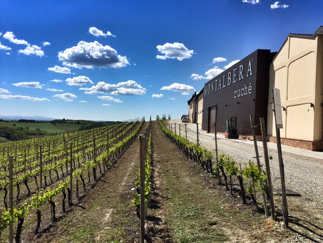 Home Sweet Home. Wherever you are this week, we hope you're celebrating the holiday with friends, family and loved ones. And remember, there is no celebration without a bottle of Montalbera! #winelover #friendsatthetable #familytime #drinkmontalbera