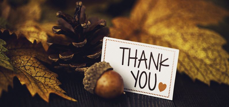 ACTIVEcommunity's tweet photo. 5 Reasons We're #Thankful For You: https://t.co/yvaLEK03aJ https://t.co/Ra7MP2xX7o