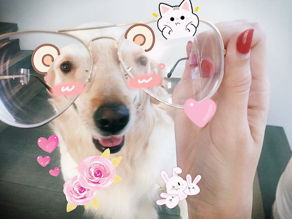 chicasoftbot's tweet photo. ✨💖🌸 :0 ✨👓💓 https://t.co/D8aKrga7Tu