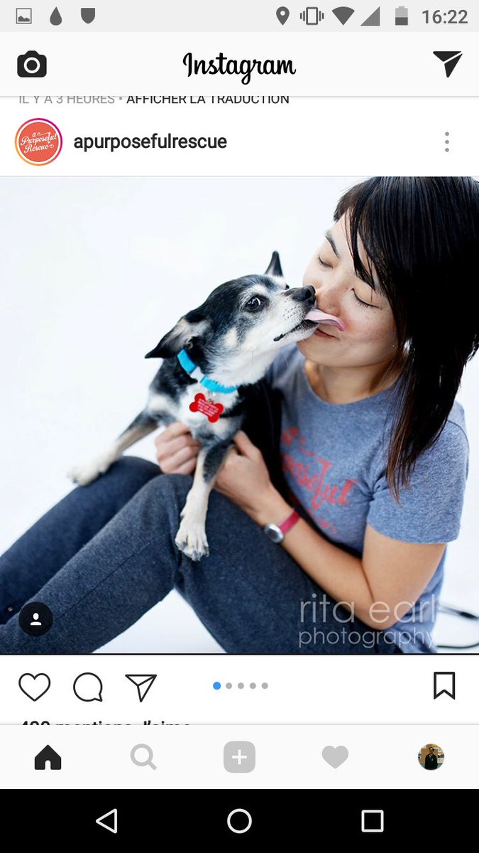 bitemeson's tweet photo. His name is gus!! Pup lookin for a home @Jenna_Marbles @JulienSolomita https://t.co/oM5vMk4V4J
