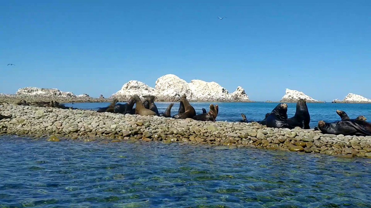 ferfi22's tweet photo. ¿Has visitado #PuertoPeñasco? Si no, esto es lo que no te puedes perder @visitasonora https://t.co/AGdbYsDOU4 https://t.co/Q7AtMTu7UN