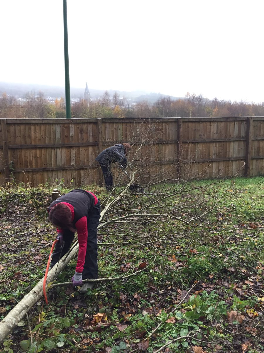 PhoebeW94's tweet photo. Before and after. Tree clearance with @GwentWildlife volunteers today in Ebbw Vale #Saw #OpeningItUp https://t.co/2CTmhz3Z47