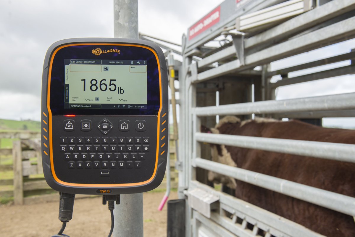 GallagherNA's tweet photo. See our new Touch Screen Scale Line at #AngusConvention. Booth #332. Win a system! #Cattle #AgTech #Analytics #DataManagement https://t.co/5JGYpETVzZ