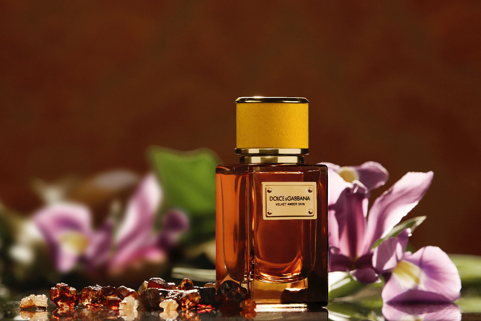 Dolce gabbana velvet amber sun hot sale