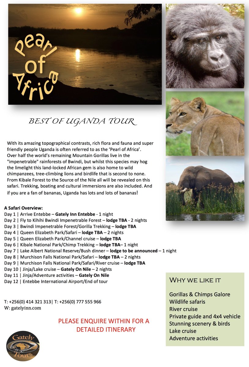 HelenReynolds66's tweet photo. Uganda.....is your Oyster!
#Uganda #tourism #Travel #Tours #Safari #wildlife #birding #travelers #traveler #animals #gorilla #chimpanzee #Fauna #flora https://t.co/gjoDjJM7bN