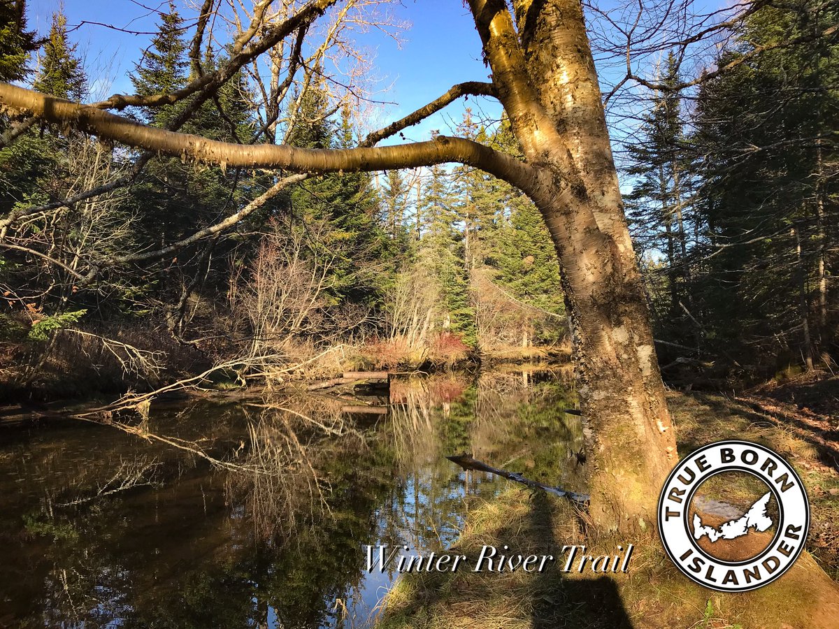 TB_Islander's tweet photo. #apparel #pei #tbi #islanderpride #islander #truebornislander #eastcoast #shoplocal #walkingtrail #country #repyourhome #home @TB_Islander https://t.co/524ERH5dJm