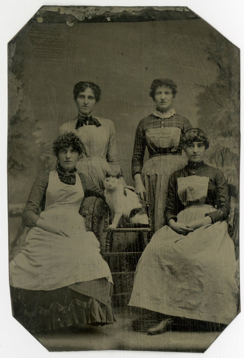 amhistorymuseum's tweet photo. @americanart @rocRMSC @smithsonian Does she want to join our Curly Bangs and Kitties Committee? We meet every #Caturday in the photo studio! She doesn't QUITE have bangs but we dig the side curl. (Tintype from our Photo History Collection.) #Catsgiving #FashionHistory #BangsAreBack https://t.co/t5nuJ7X4Vt