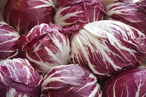 Diuretico, depurativo, anticoagulante e digestivo. Il radicchio, che può essere consumato crudo, cotto o grigliato, protegge gli occhi e aiuta a curare l'insonnia. Scoprite come cucinare questo fantastico ortaggio con il libro di Tipografia Editoria DBS: ow.ly/5MeS30gJ7c2